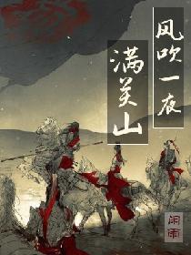 风吹一夜满关山全文免费